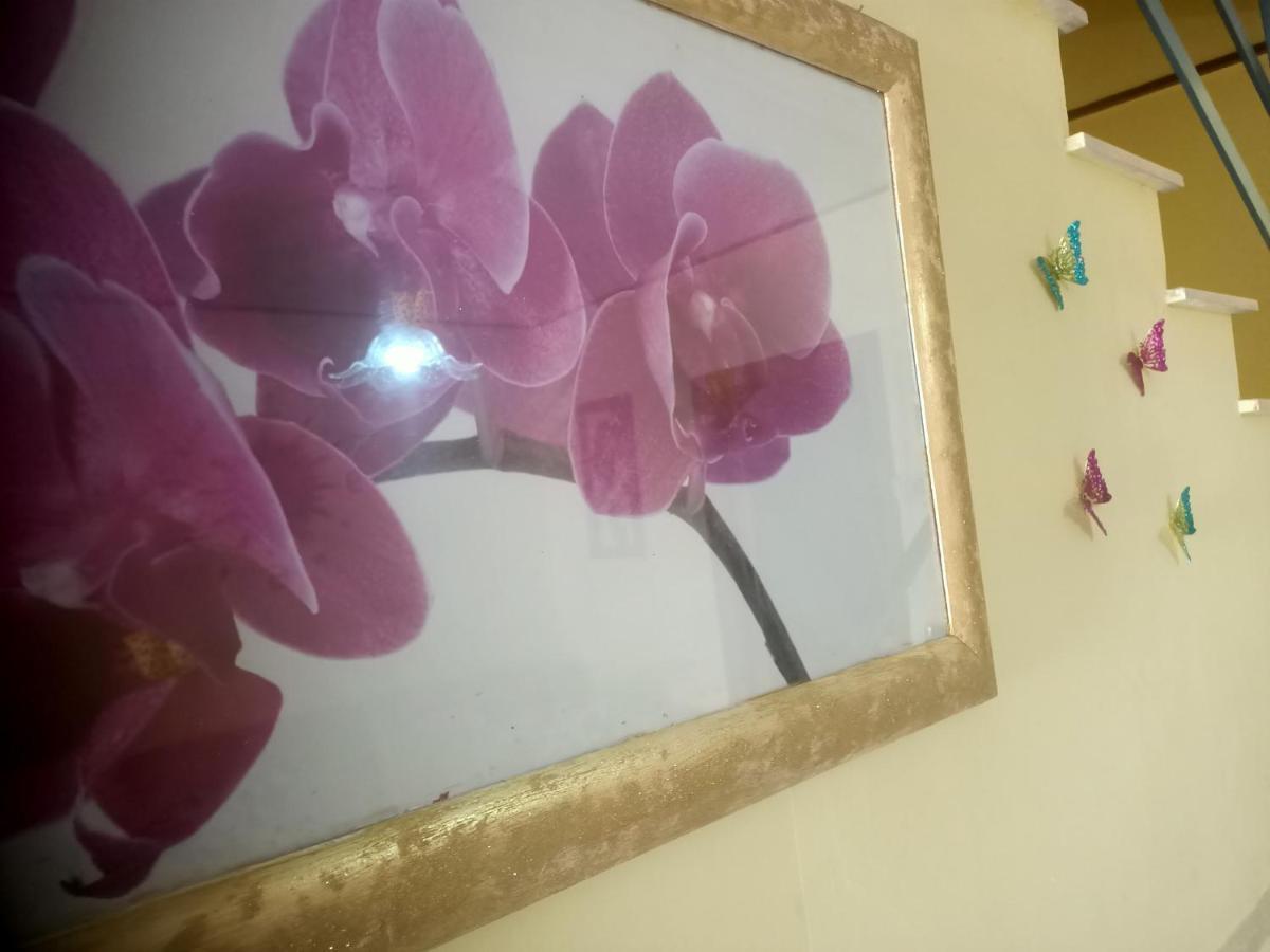 Casa Sole Villa Vetralla Kültér fotó